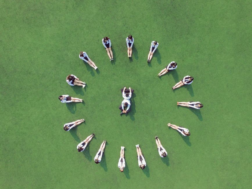 Kingsgrove High School International Students 2026–2027: Year Levels, Catchment and Homestay