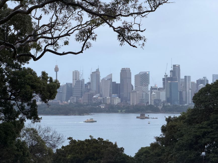 Hunters Hill High School International Students 2026–2027: Year Levels, Catchment and Homestay