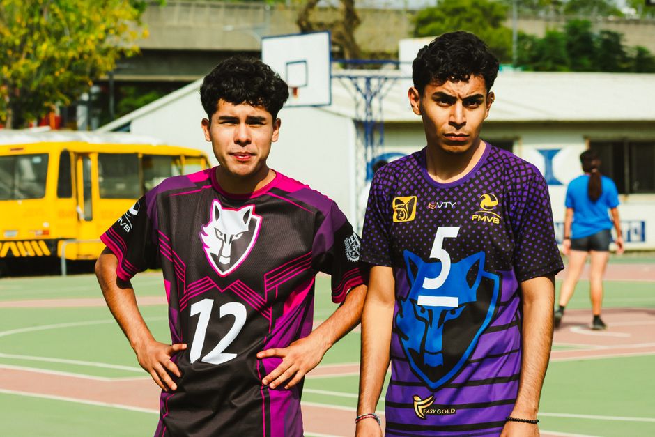 Kingsgrove North High School International Students 2026–2027: Year Levels, Catchment and Homestay