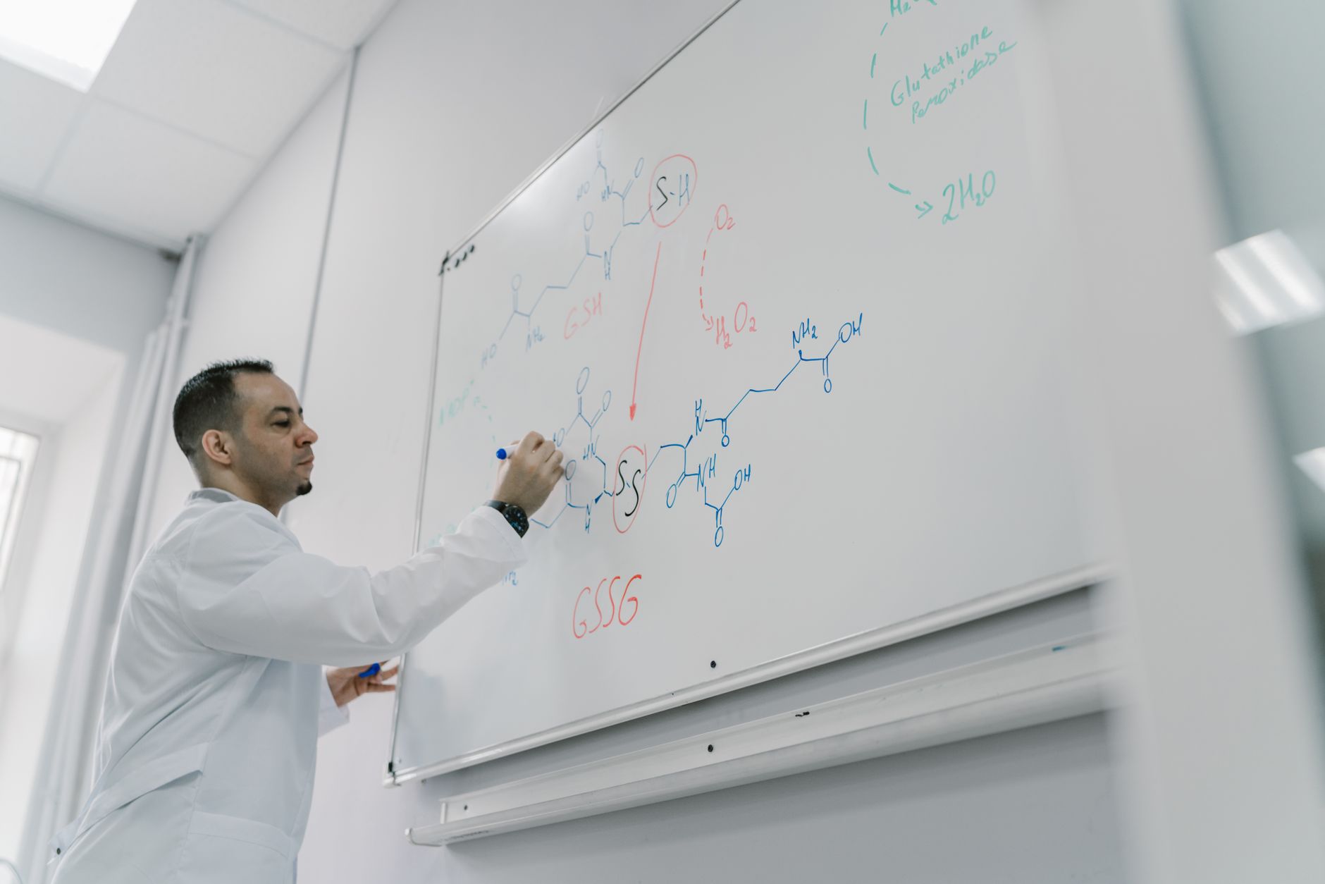 PhD and Research Opportunities in Sydney 2026